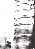 cortesia de nel amaro para klaussvandamme official website reservados todos los derechos all rights reserved vegap